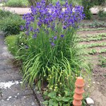 Bild des Benutzers Kiwie555