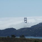 Bild des Benutzers Sternennacht