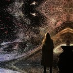 Bild des Benutzers insag