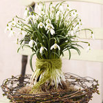 Bild des Benutzers stpn.di