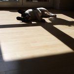 Bild des Benutzers denuska