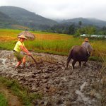 Bild des Benutzers SaKe