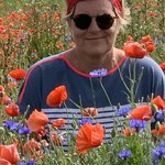 Bild des Benutzers Katrin Alt