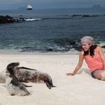 Bild des Benutzers Madalina