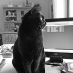 Bild des Benutzers marmite72