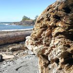 Bild des Benutzers sonjanis