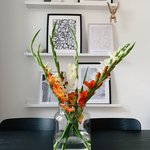 Bild des Benutzers dreizimmerundich