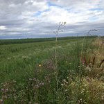 Bild des Benutzers Misty