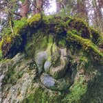 Bild des Benutzers Möbelbine