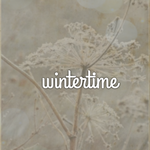 Bild des Benutzers zimmerlotte