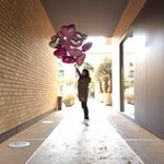 Bild des Benutzers Dajana Tan