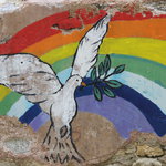 Bild des Benutzers Nine002