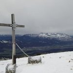 Bild des Benutzers Klein L-Marie