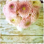 Bild des Benutzers sandee