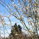 Bild des Benutzers Allthelittlethings