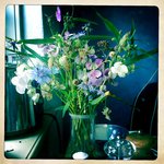 Bild des Benutzers Rosa-Helene