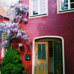 Bild des Benutzers SoLebIch-Team