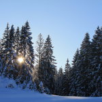 Bild des Benutzers DaHaAlpenblick