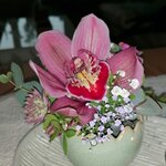 Bild des Benutzers Sannes Home