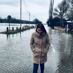 Bild des Benutzers zimtkringel