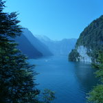 Bild des Benutzers fiat