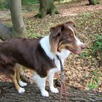 Bild des Benutzers comeg