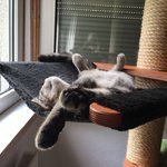 Bild des Benutzers nic1984