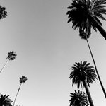 Bild des Benutzers Wohnliebe.Salzburg