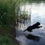 Bild des Benutzers Lissy Schumacher