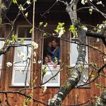 Bild des Benutzers Joey