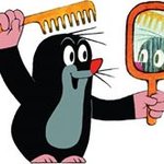 Bild des Benutzers Skadi Schmidt