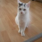 Bild des Benutzers Angela Stern