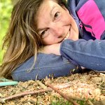 Bild des Benutzers no_roots