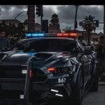 Bild des Benutzers Lana Rüter