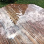 Bild des Benutzers Aurora Borealis