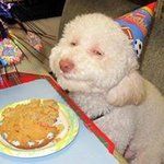 Bild des Benutzers Nadja Mülleric