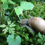 Bild des Benutzers NeoLucy