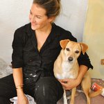 Bild des Benutzers AellasHome