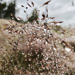 Bild des Benutzers Leonie.Pieper