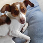 Bild des Benutzers Manquita