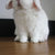 Bild des Benutzers blanc_lapin