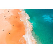 Bondi Beach: Peter Yan