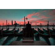 Venice: Sebastian Magnani