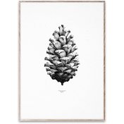 1:1 Pine Cone Poster
